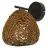 Ledvance Decor Luce Da Parete Drop Beige | Adatto per 1x E27