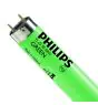 Philips MASTER TL-D 58W - Verde | 150cm