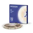 Noxion Naga Strisce LED IP65 SMD2835/240 24V 16W/m 965 5M/10mm/25mm